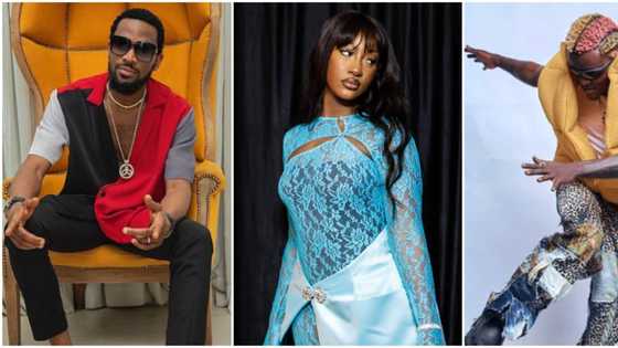 Seun Kuti, Portable, and 5 other Nigerian entertainers who have been arrested, and how it was handled