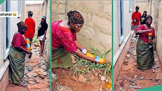 Nigerian mother captured on camera pouring red oil around son's new house, video trends