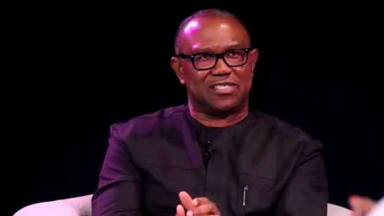 2023: Finally, truth about $150m diaspora funding linked to Peter Obi emerges