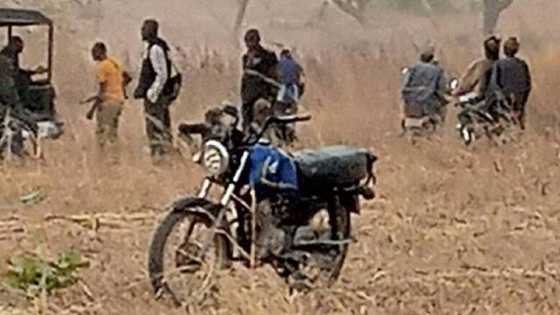Yadda mutanen gari suka kashe ƴan bindiga 30 a Katsina