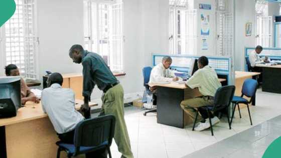 14-month-old Nigerian bank opens 2 branches, ready to compete Access, Zenith, others