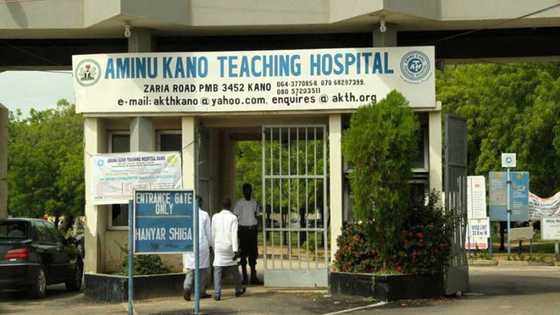 Annoba: Bayin Allah da-dama sun mutu a Ondo da Kano a dalilin cutar Lassa