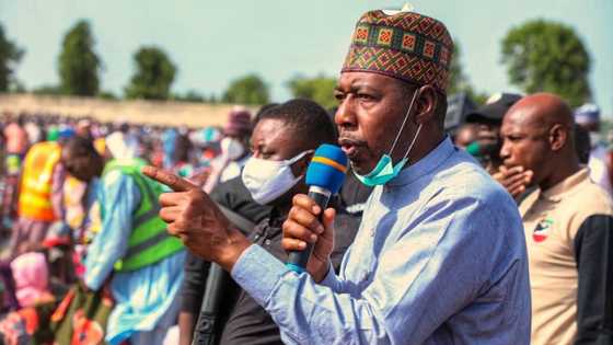 Gwamna Zulum ya ɗauki nauyin marayu 500 na yan sakai da suka rasa ransu a yaƙi da Boko Haram