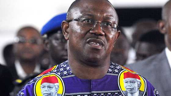 Electricity generation, education in Egypt: What Peter Obi saw