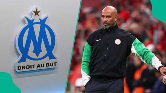 Super Eagles coach Eric Chelle gets support for Olympique Marseille coaching job
