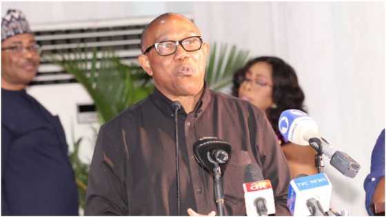 2023 Presidency: How Peter Obi's campaign director squanders N20m mobilization fund