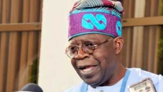 Bola Tinubu: Najeriya na matukar bukatar na mulke ta saboda wasu dalilai da ke kasa