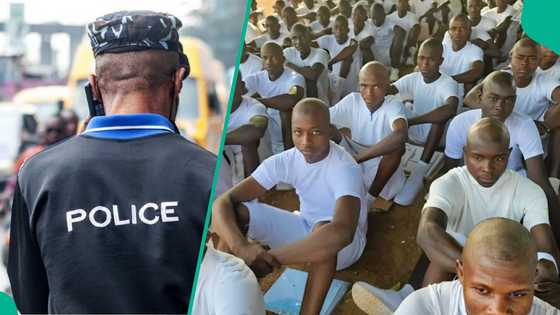 2 police applicants arrested over certificate fraud in Bauchi