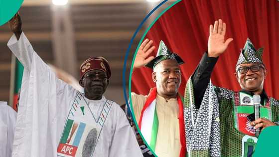 Ministan PDP ya fadi abin da ya sa Peter Obi ya doke Tinubu a Legas a zaben 2023