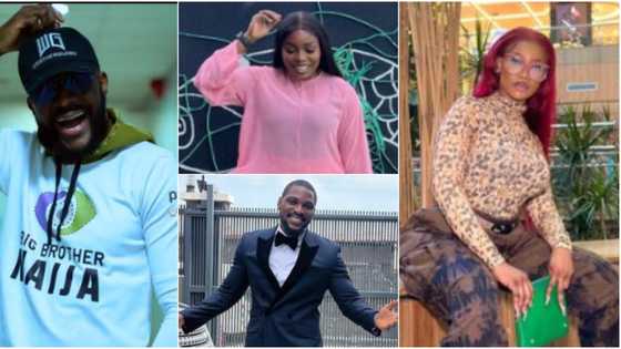 Ebuka, Tobi Bakre, Tacha, 4 other BBNaija stars who doesn't win but are very successful and relevant now