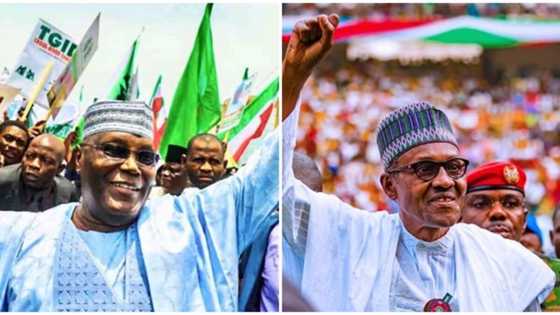 Presidential election: Atiku formally files appeal, asks Supreme Court to declare him president