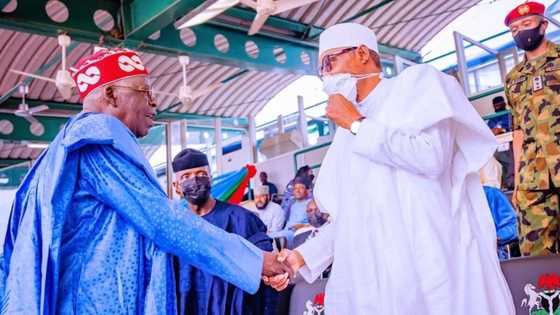 APC primary: At last, Buhari speaks his mind on Tinubu's emergence, tells APC leadership what to do