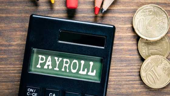 Is Bujeti Payroll Launch a Threat to Africa's HR Startups?