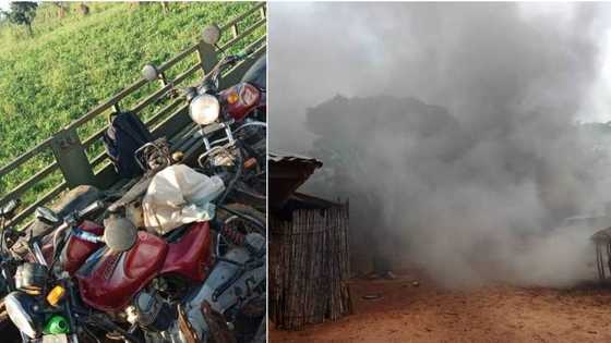 Kaduna: Jami'an tsaro sun halaka 'yan bindiga 10 a Giwa, sun ceci mutum 1