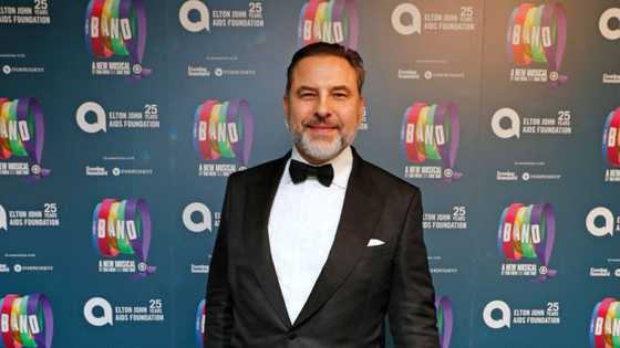 David Walliams biography: All the interesting details about his life