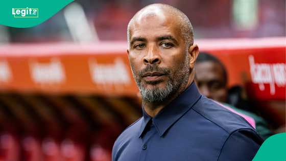 NSC DG provides update on Super Eagles boss Eric Chelle’s contract amid Algerian links