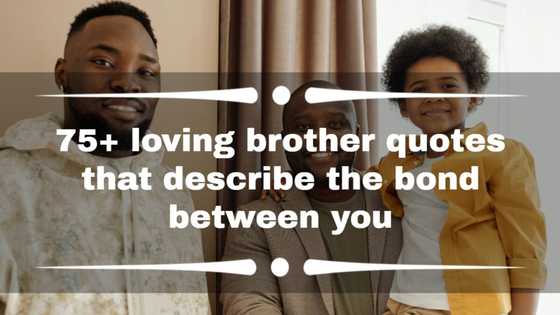 75+ loving brother quotes that describe the bond between you