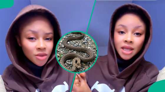 US-based lady who survived snakebite while in Nigeria shares what saved her, how she got treated