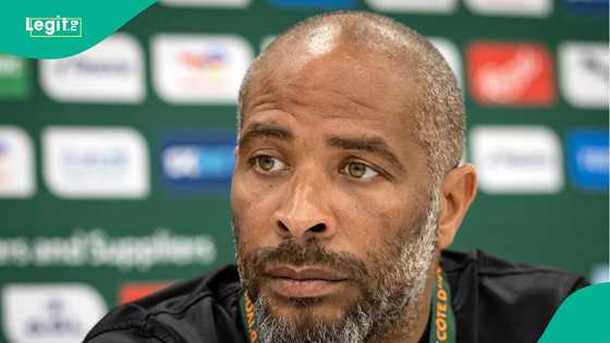 Eric Chelle desperate to secure Nigeria-eligible player before international friendlies