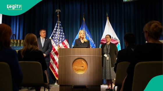 Wasu 'yan Najeriya 2 sun damfari gwamnatin Amurka, sun girbi abin da suka shuka