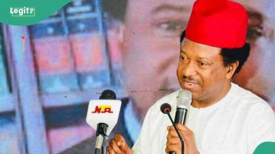 "Kada a Kwace Abin Da Mutane Suka Zaba" Shehu Sani Ya Fadawa Kotu Gabanin Hukuncin Kano