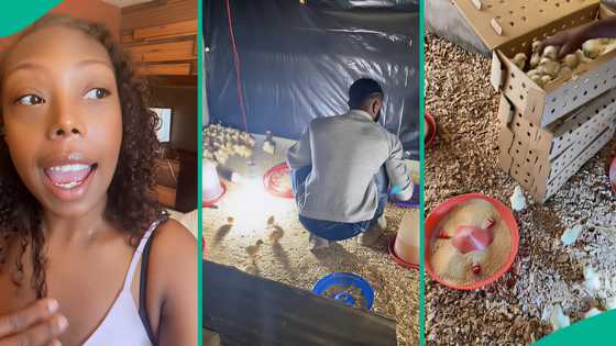 American lady follows her man home, invests money into boyfriend's poultry business, people react