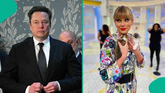 X users blast Elon Musk as he offers to 'impregnate' Taylor Swift after her Kamala Harris approval