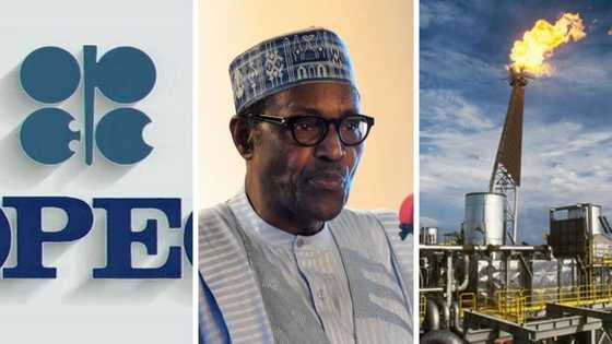 Uncertainty as OPEC Puts Cap on Oil Price, Says Body Not Willing to Allow Price Hit N41,00/PB