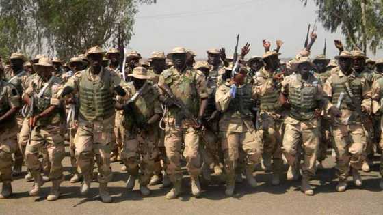 Nasarawa attack: Local vigilante group arrests 3 suspects as Nigerian Army vows to track down perpetrators