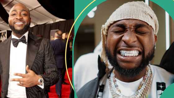 "Stubborn": Davido reacts as "Timeless" re-enters UK Top 100 music chart, fans react