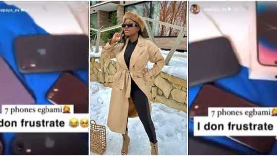 “Can you use them at the same time”: Fans drag Papaya Ex after she bragged about owning 7 iPhones in video
