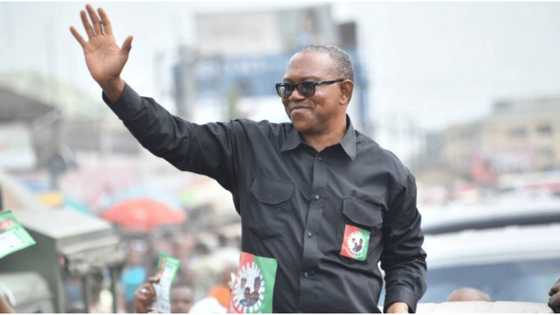“Peter Obi not destined to be president in 2023”, says Ohanaeze Ndigbo