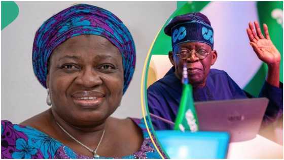 Anxiety as EFCC quizzes another member of Tinubu's government