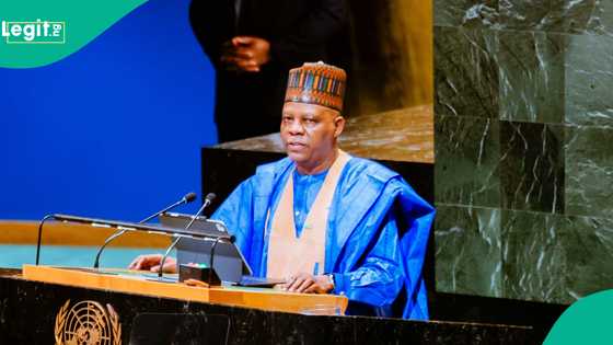 Shettima ya kalli shugabannin duniya, ya fadi matsayar Najeriya kan kafa kasar Falasdinawa