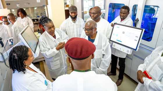 Sabuwar cuta mai cin naman jiki ta bulla a Adamawa, gwamnati ta fara bincike