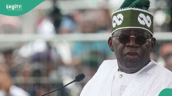 Economic hardship: Why Nigerians should be patient with Tinubu, youth advocate explains