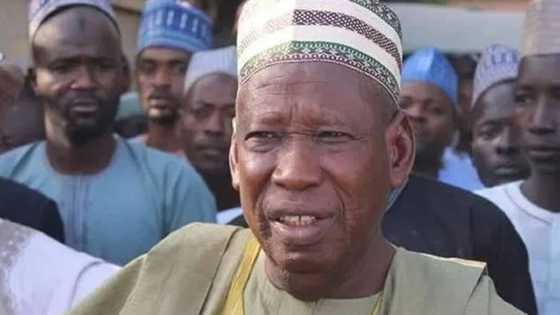 Assha: Gobarar Dare tayi barna a jihar Kano