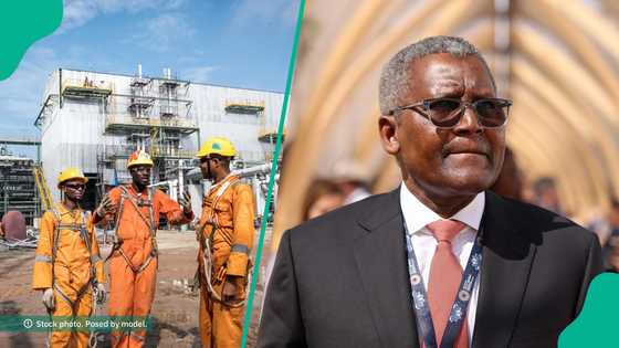 Dangote announces cement, seaport projects in Ogun after refinery in Lagos, sets completion date