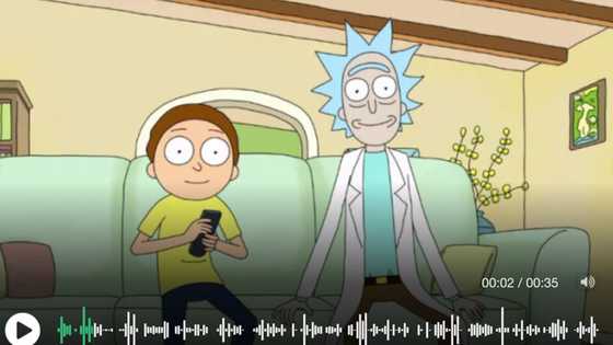 Interesting Rick and Morty quotes that you will enjoy
