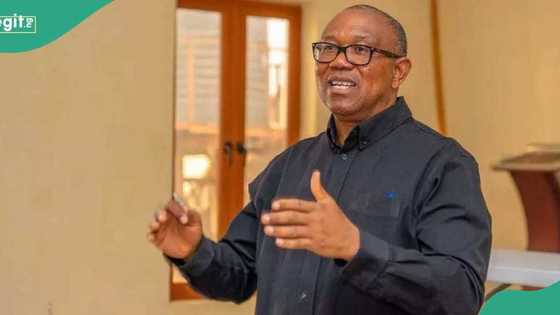 Peter Obi meets Aregbesola, others in Lagos, photo emerges
