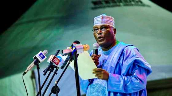 Breaking: Atiku defeats Buhari in Ondo state