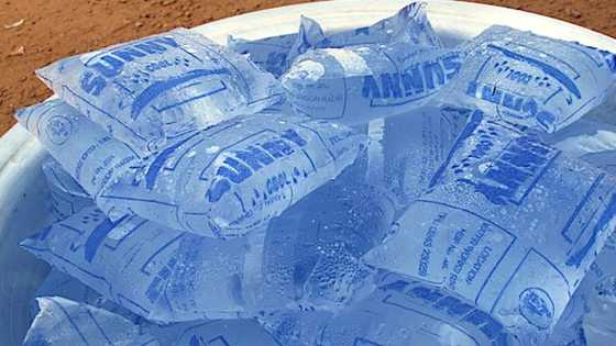 Just in: Abuja 'pure water’ producers announce major price increase, to sell at N20