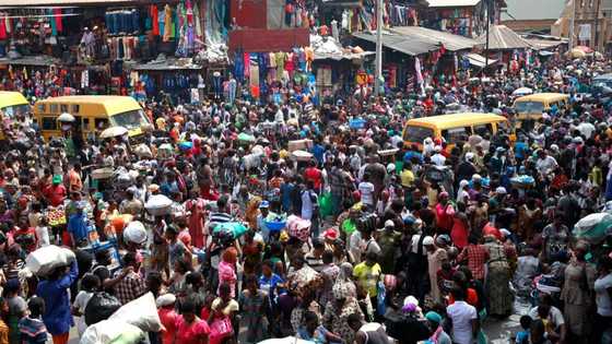 Bank accounts in Nigeria rise by over 66m, now more than the total population of Ghana, 12 countries combined