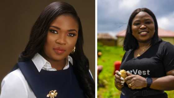 "We need more African women to participate in financial services" - Solape Akinpelu, CEO of HerVest