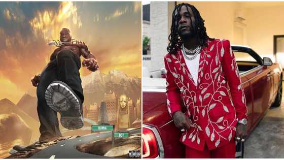 Twice As Tall: Burna Boy beats Wizkid, Davido as album debuts at number 54 on Billboard 200 chart
