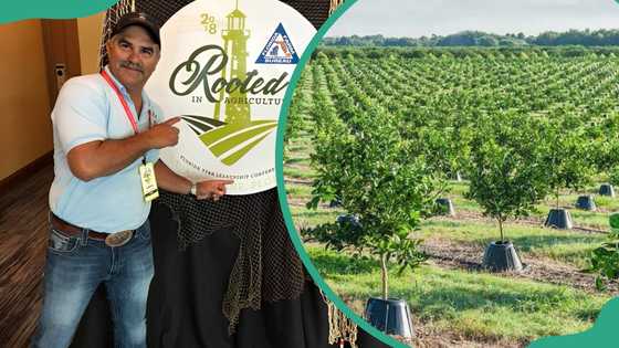 Is Tree T-Pee still in business? Here are the updates on the game-changing Shark Tank innovation