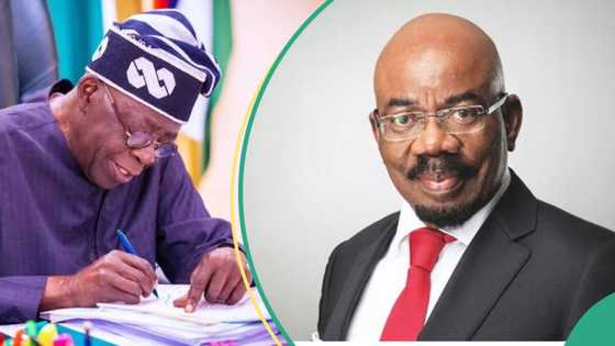 BREAKING: Tinubu appoints Jim Ovia as chairman of student loan fund