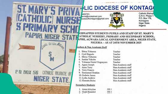 Full list of abducted Niger Catholic school students, teachers released, new figures emerge