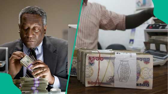 CBN policies boost naira stability as traders announces new exchange rate