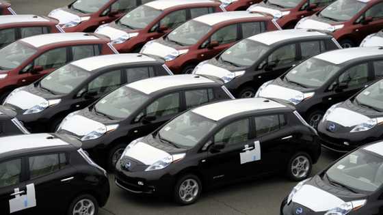 Skidding Nissan to halt production at Japanese plant